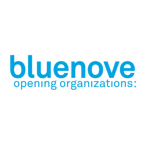 logo de bluenove